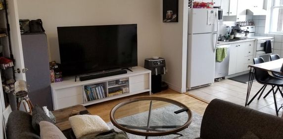 Beau logement 4½ rénové récemment, dans Rosemont-La-Petite-Patrie, près de la piste cyclable et du Plateau Mont-Royal - Photo 2