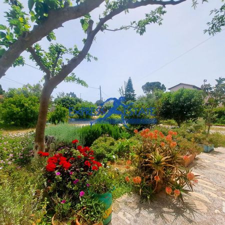 Studio/Γκαρσονιέρα για ενοικίαση Άγιος Παντελεήμονας (Μαραθώνας) - Photo 3
