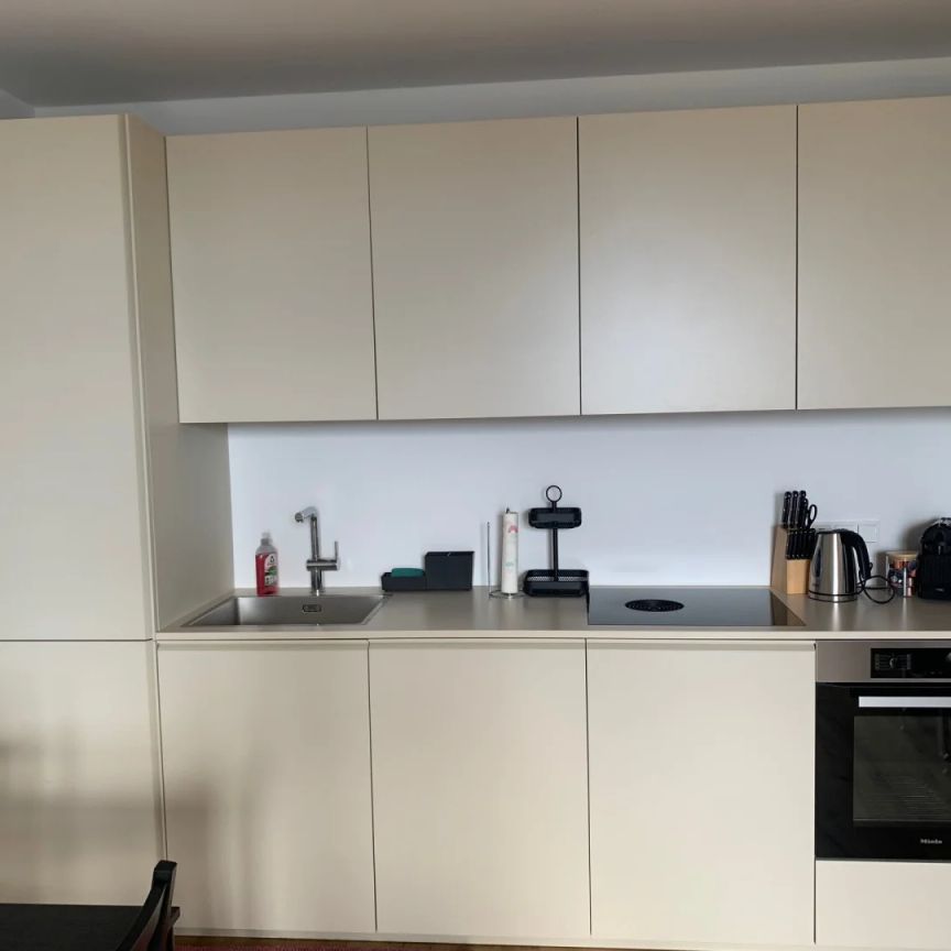 hochwertig vollmöblierte 2-Zimmer-Wohnung mit großzügigem Balkon und Blick auf die Pram - Photo 1