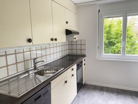 Family and green environment - Photo 3