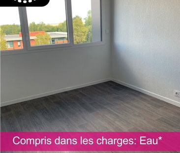 Location Appartement 1 pièce 19m² AUZEVILLE TOLOSANE 31320 - Photo 1
