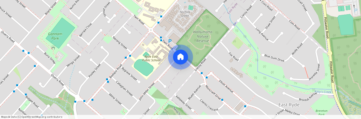 53A John Miller Street, NSW 2112, Ryde