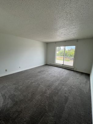 AURORA APARTMENTS - 303 - Photo 1