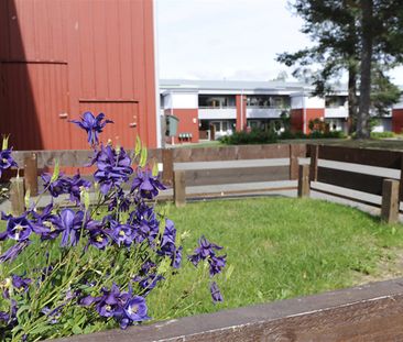 Marina Gränsen 16 E - Foto 5