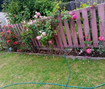 Room in a Shared House, Tokyngton Avenue, HA9 - Photo 5