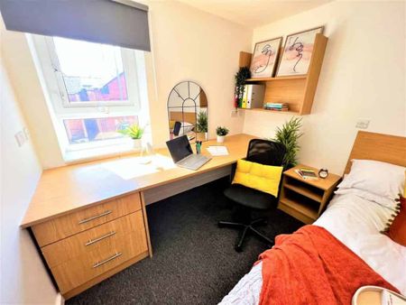 Deluxe Plus - Photo 4