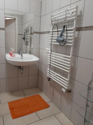 2,5 Zimmer Wohnung möbliert zur Pauschalmiete (inkl. Stom, Gas..) - Photo 1