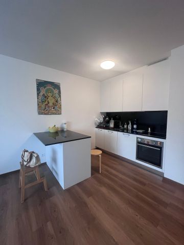 2.5 Zimmer, 50 m², 1. Stock - Foto 2