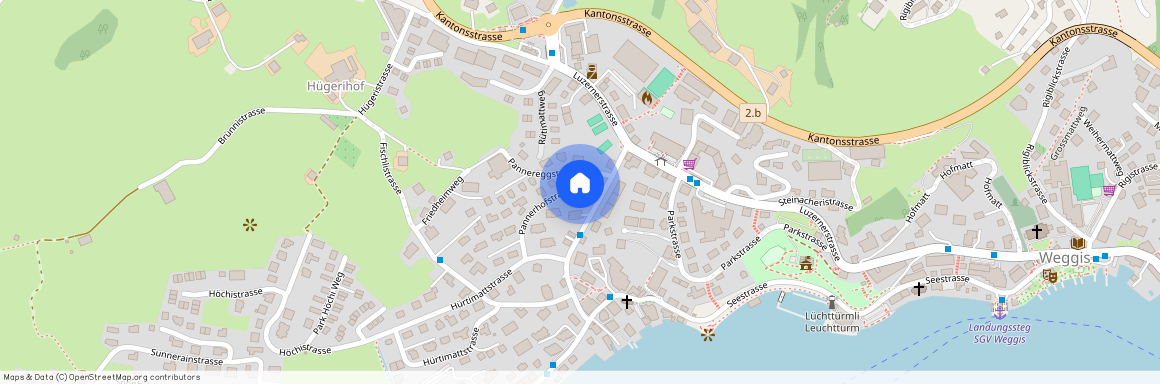 Pannerhofstrasse 10, 6353 Weggis