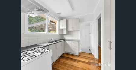 Renovated, Bright and Clean Single Level Home - Photo 4