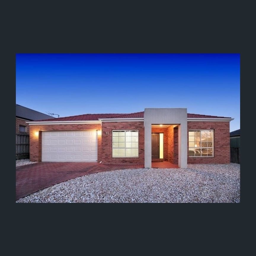 Immaculate Family Home in Prime Mt Ridley Location - Photo 1