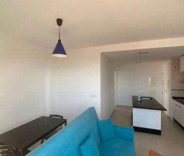 Apartamento de alquiler en Calle de Juan de Ortega, 9, Los Almendro... - Photo 2
