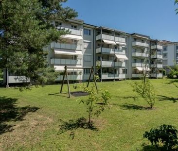 Cozy apartment in Muttenz - Photo 4