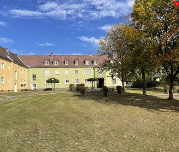 Sonnige 2-Zimmer-Wohnung im Grünen inkl. Parkplatz! - Foto 4