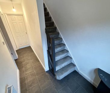 Summer Lane - Photo 1