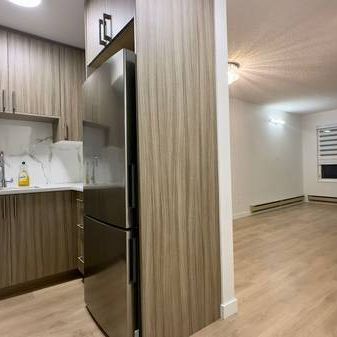 COMPLETELY RENOVATED Alexandra Place one bed one bath for rent - Photo 4