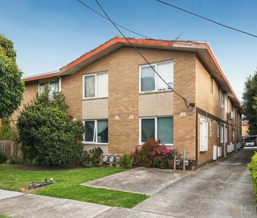 Central Village Lifestyle - Photo 5