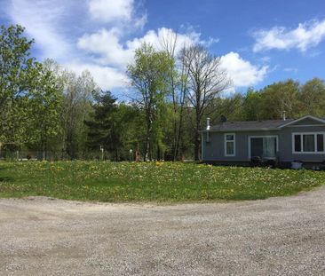 For Lease - 3358 Ravenshoe Road, Georgina, Ontario - Photo 2