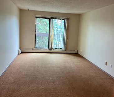 1 Bedroom Units in Clearview Meadows!! - Photo 4