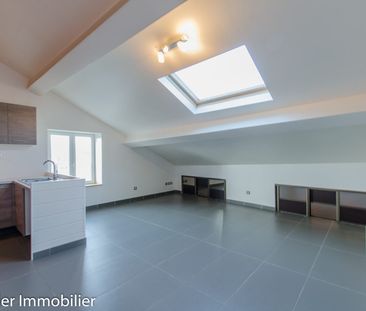Location Appartement 2 pièces 36m² ST MARCELLIN 38160 - Photo 4
