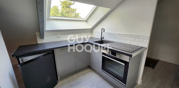 Appartement 1 pièce (15 m²) à louer à ORLEANS - Photo 2