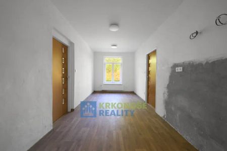 Slunný byt 3+kk po celkové renovaci s předzahrádkou v obci Stará Paka – ihned k pronájmu - Fotografie 3