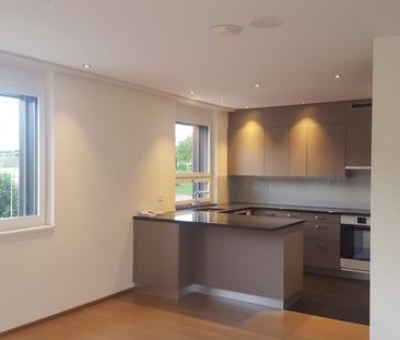 MODERNE 2.5 Zimmer-Attikawohnung - Photo 5