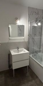 Location Appartement 1 pièce 44m² LILLE 59000 - Photo 4