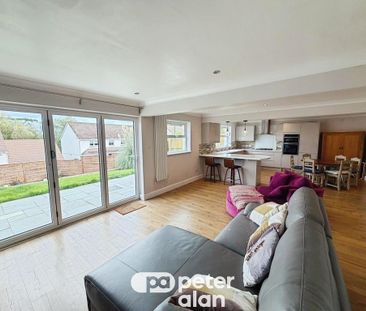 4 bedroom property to rent - Photo 4