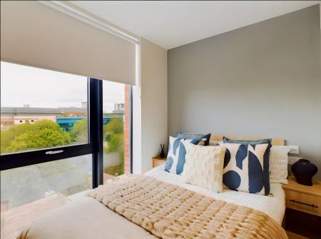 Deluxe Studio - Photo 2