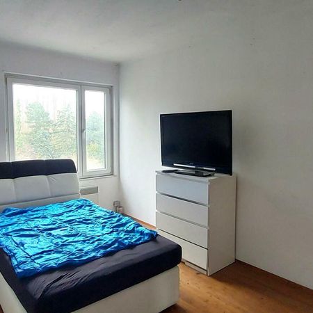 Großzügige Singlewohnung! - Foto 4