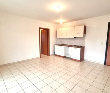 Appartement T2 (40 m²) à louer à FOLELLI - Photo 2