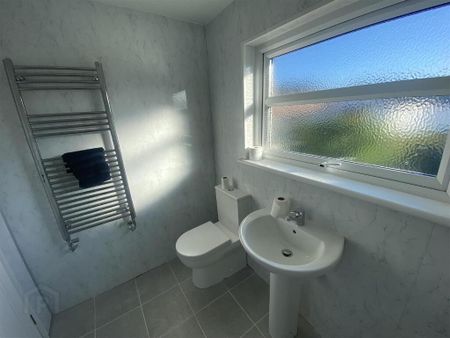 95 Montague Street, Portadown, BT62 3JR - Photo 5