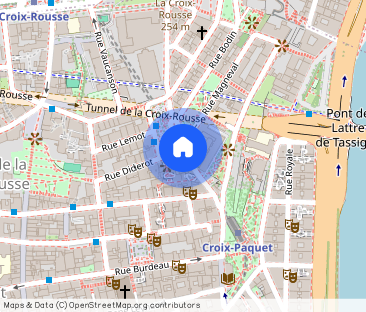 STUDIO A LOUER LYON 1ER ARRONDISSEMENT Griffon-Royale - Photo 1