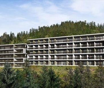 "Geniessen Sie die Sonne auf Ihrem neuen Balkon" - Foto 3