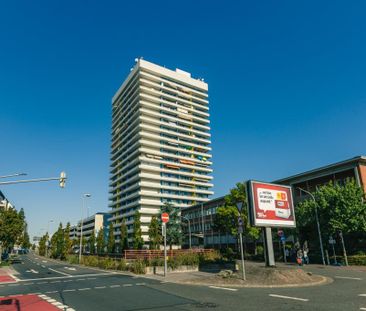 Demnächst frei! 2-Zimmer-Wohnung in Ludwigshafen am Rhein - Photo 1