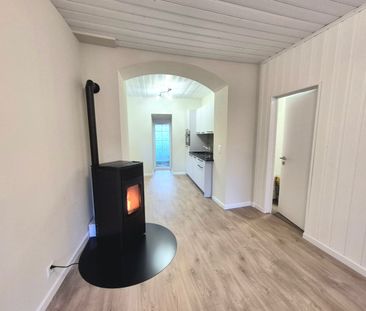 2-ROOM APARTMENT WITH NEWLY RENOVATED CACHE - Photo 3