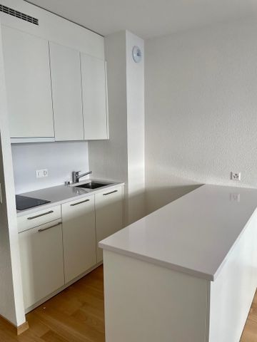 Au coeur des Eaux-Vives - Foto 3