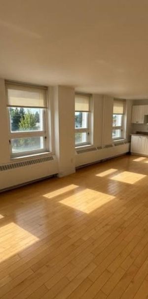 Logement 3 ½ tout inclus à louer – Black Lake (Thetford Mines) - Photo 1