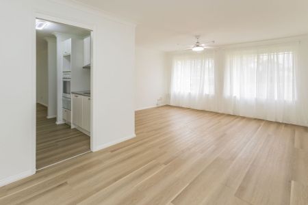 Four bedroom home with large backyard in Anna Bay - Photo 3