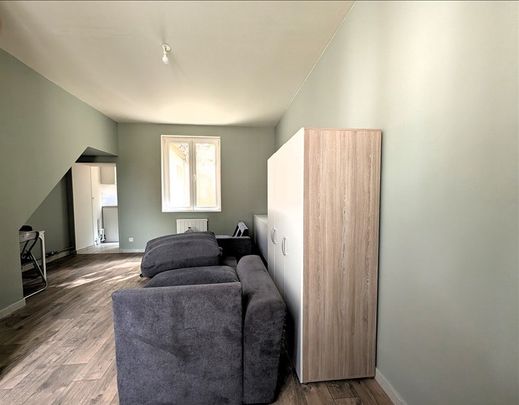 1 pièce - Meublé - 24,6 m² - RDC - Colocation non autorisée - Photo 1