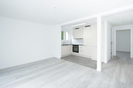2 Zimmer, 41 m², 1. Stock - Foto 2