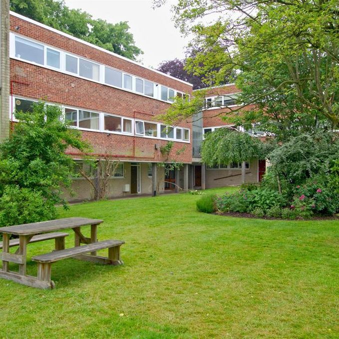 3 bedroom apartment to rent - Photo 1