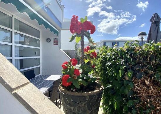 San Bartolomé de Tirajana, Canary Islands 35100