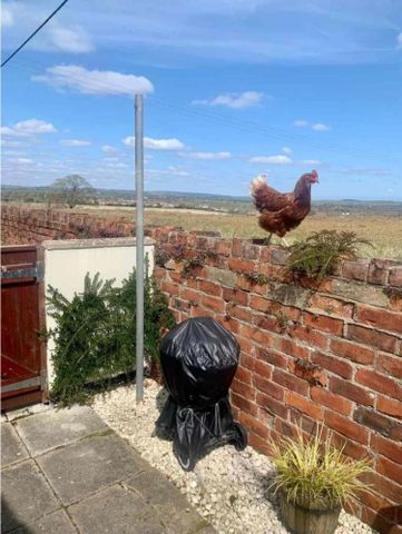 2 bedroom House To Let - Photo 3