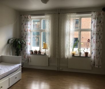 Möllegatan, Lund - Photo 5