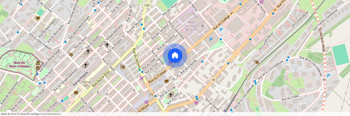 Rue du Collège 23 2300 La Chaux-de-Fonds