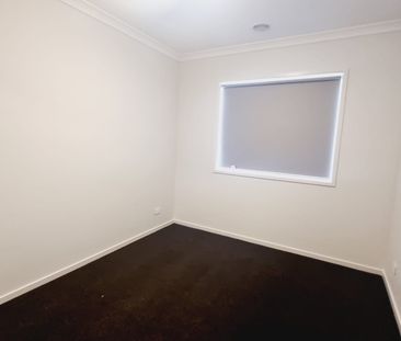 Bright & Beautiful! - Photo 6