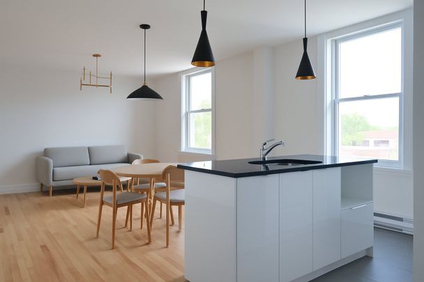 Appartement à louer, Montréal (Ville-Marie) - Photo 1