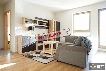 Dwupokojowy apartament 45,5 m2 ul. Langiewicza - Zdjęcie 4